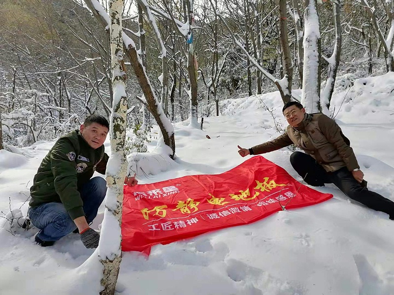 未來(lái)星防靜電地板