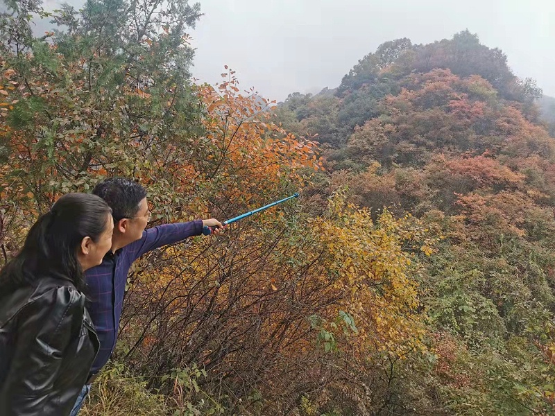 未來(lái)星防靜電地板